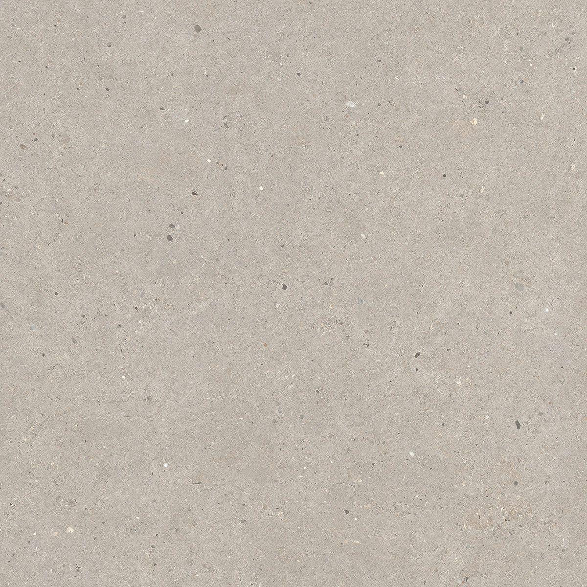 Italgraniti Silver Grain Taupe Antislip Sq. 60X60 SI0468A
