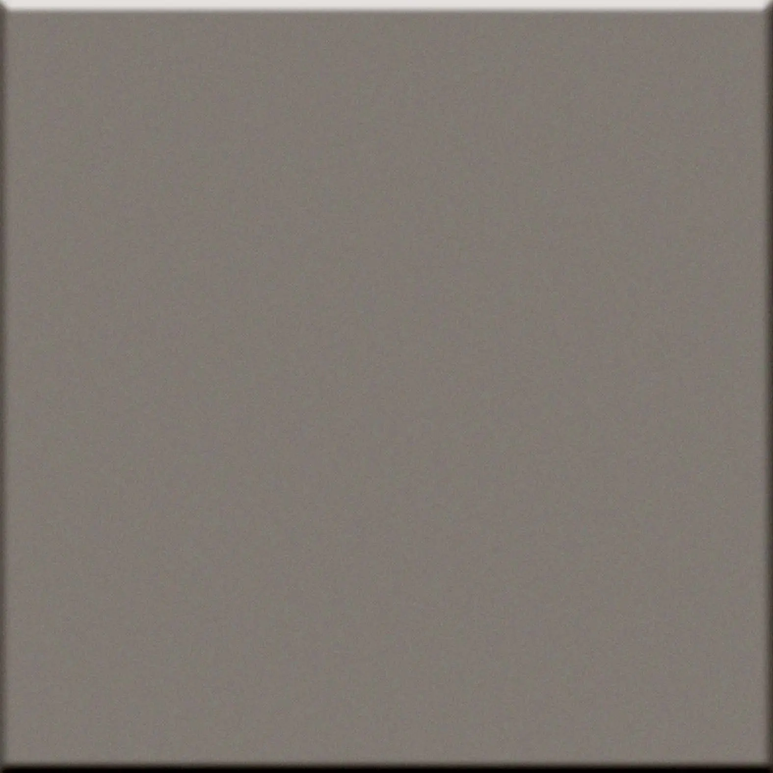 Vogue In Grigio 10X10 0011539