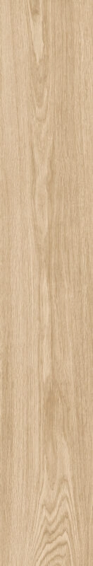 Ragno Grove Linfa Rt RA4N