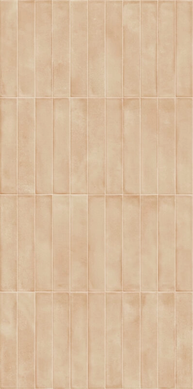 Ragno Amuri Biscotto RC8Q