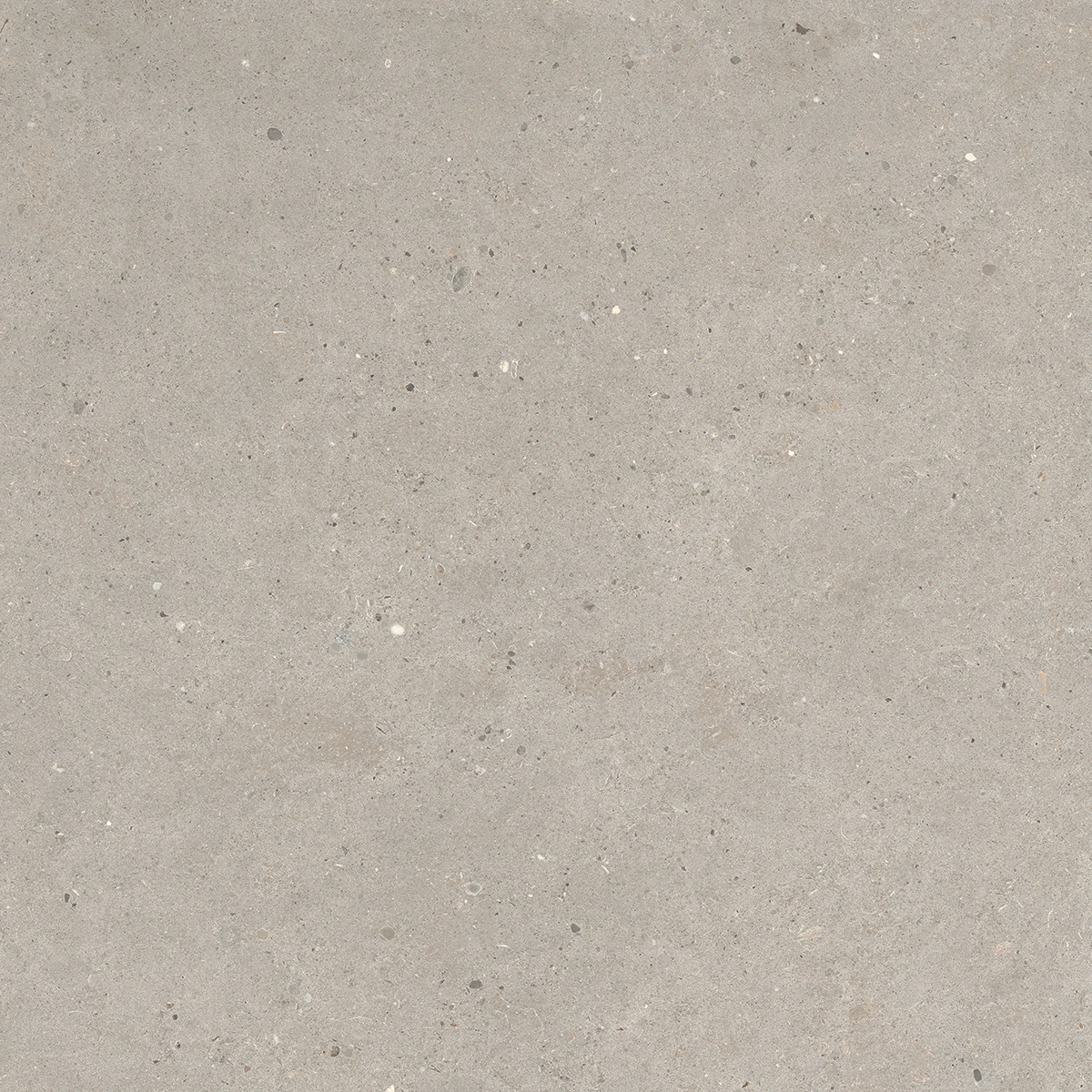 Italgraniti Silver Grain Taupe Antislip Sq. 60X60 SI0468A