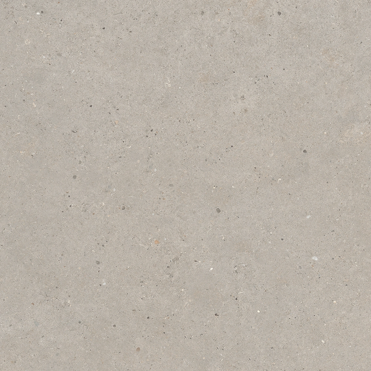 Italgraniti Silver Grain Taupe Antislip Sq. 60X60 SI0468A