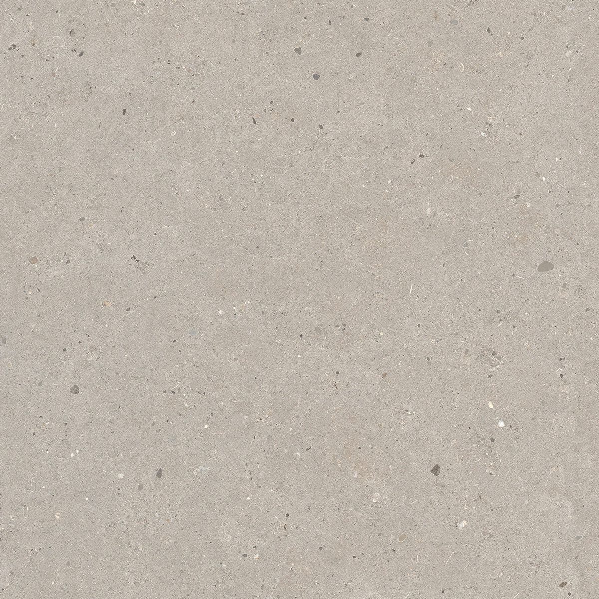 Italgraniti Silver Grain Taupe Antislip Sq. 60X60 SI0468A