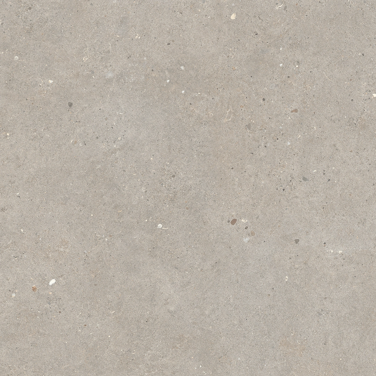 Italgraniti Silver Grain Taupe Antislip Sq. 60X60 SI0468A