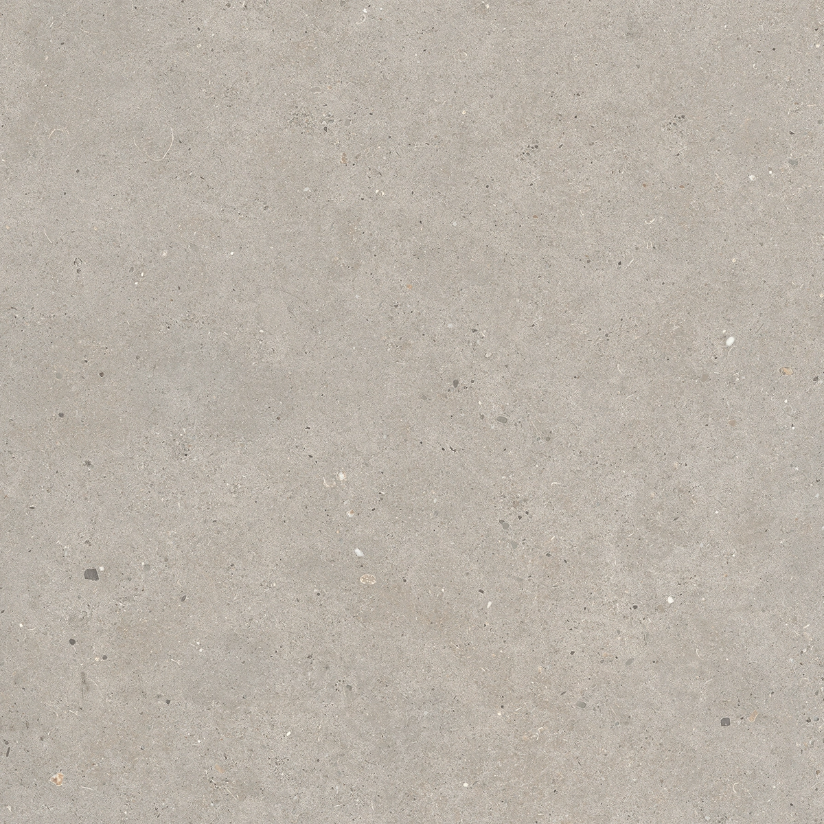 Italgraniti Silver Grain Taupe Antislip Sq. 60X60 SI0468A