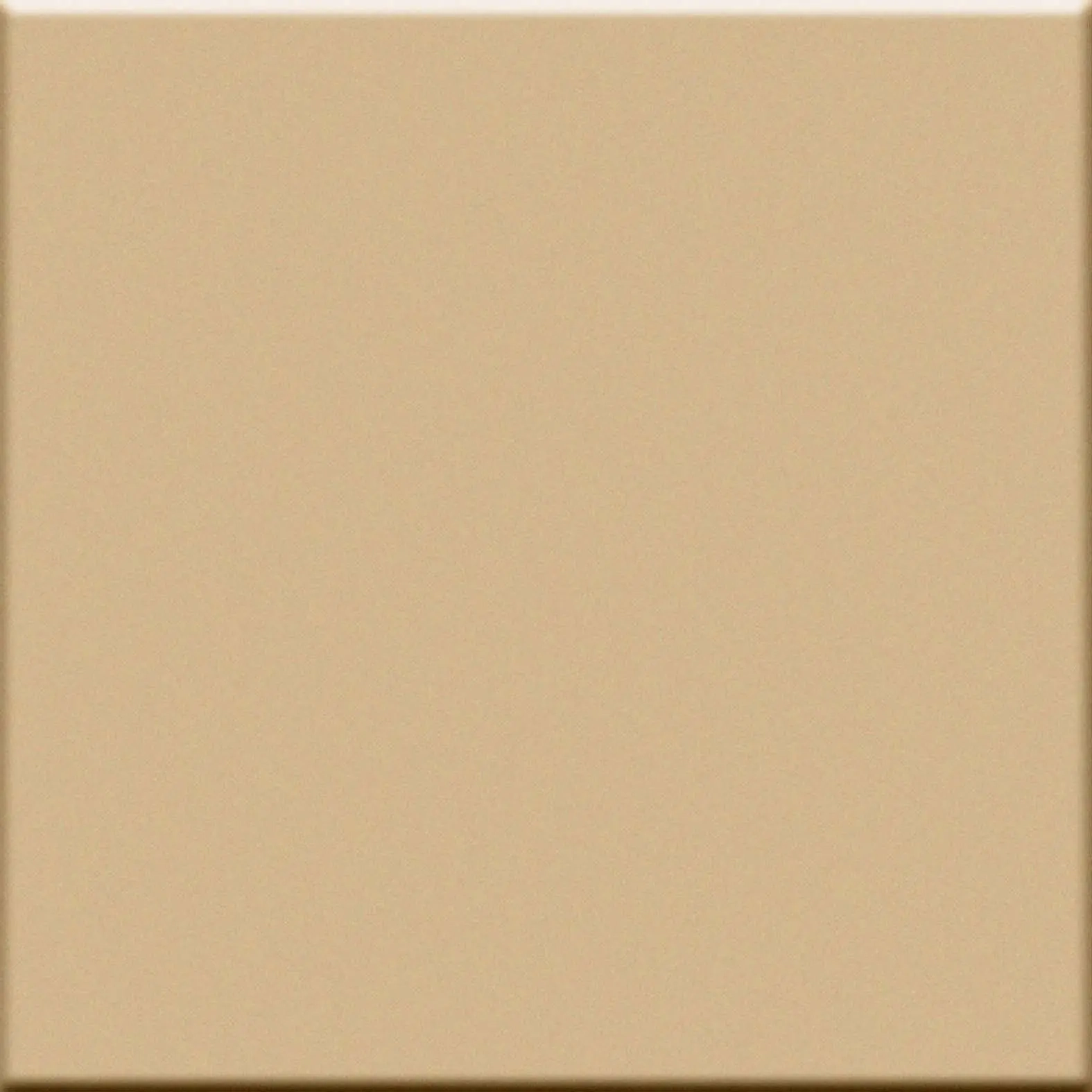Vogue In Beige 10X10 0011525