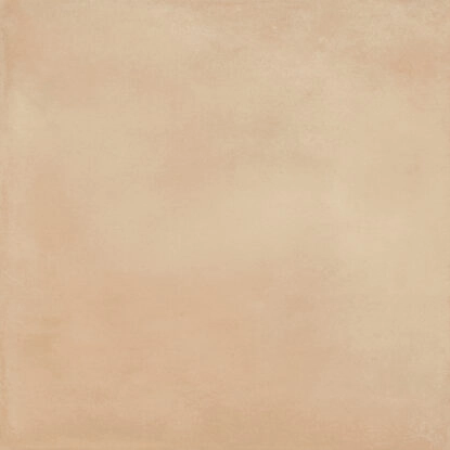 Ragno Amuri Biscotto Rt RC8X