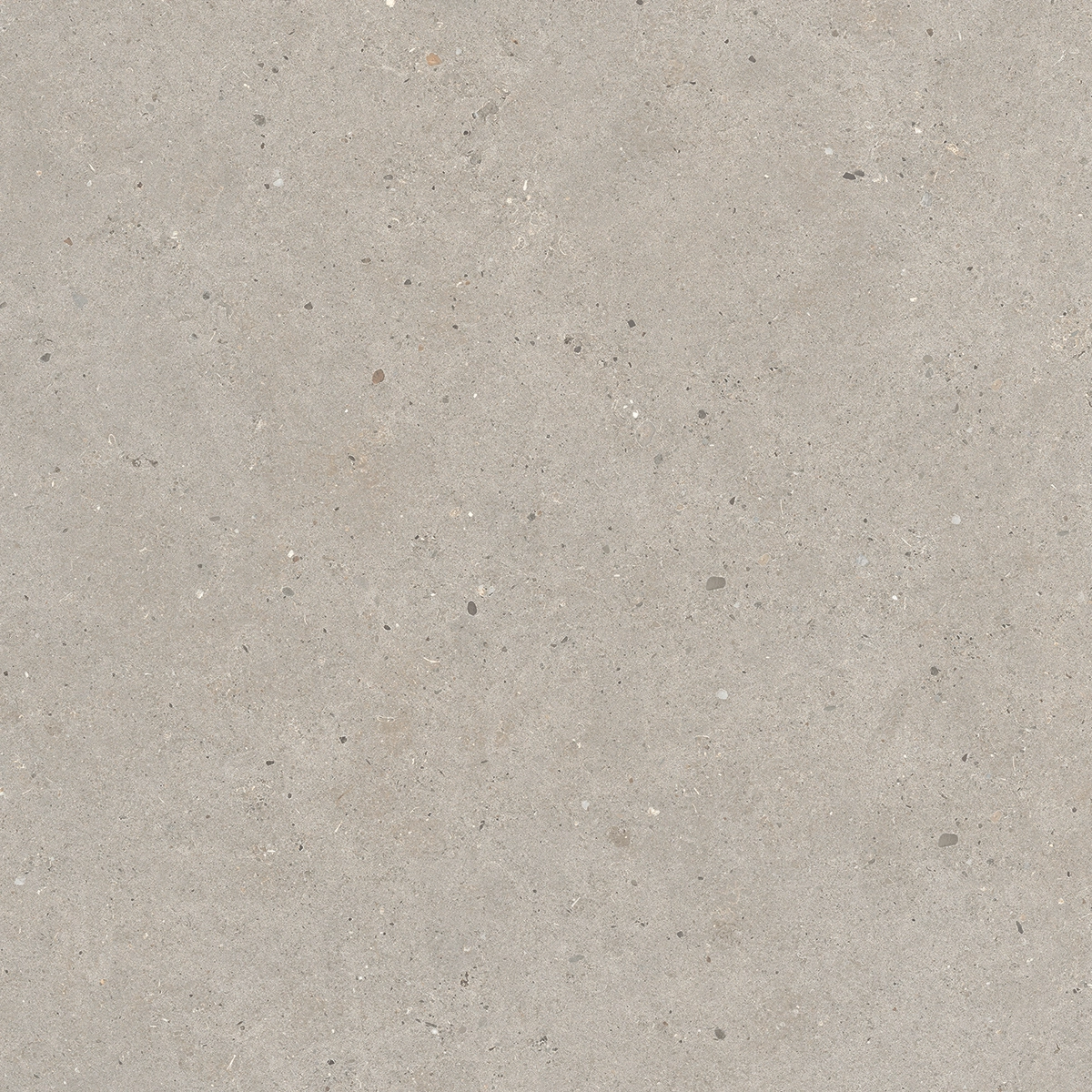 Italgraniti Silver Grain Taupe Antislip Sq. 60X60 SI0468A