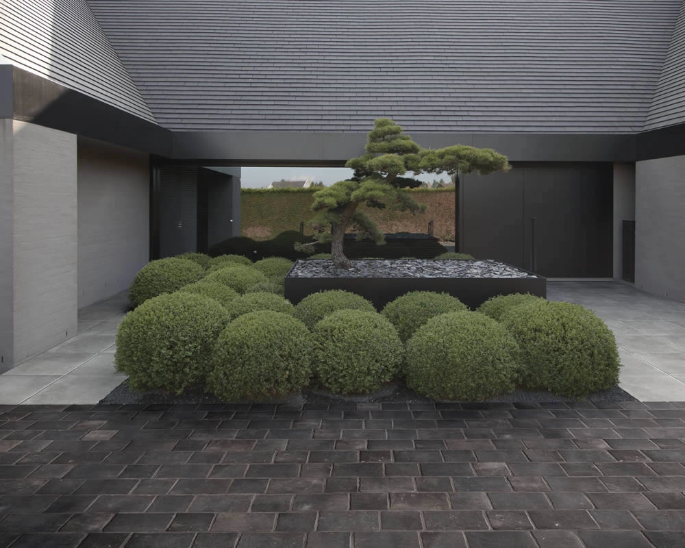 Kronos  Namur Vintage Lappato Mod.50X80-30X80 8478