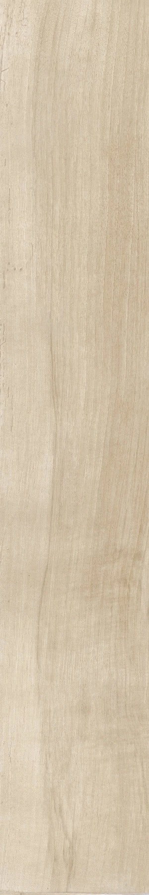 Cerdomus Fondinat.Rettificat20X120 73000