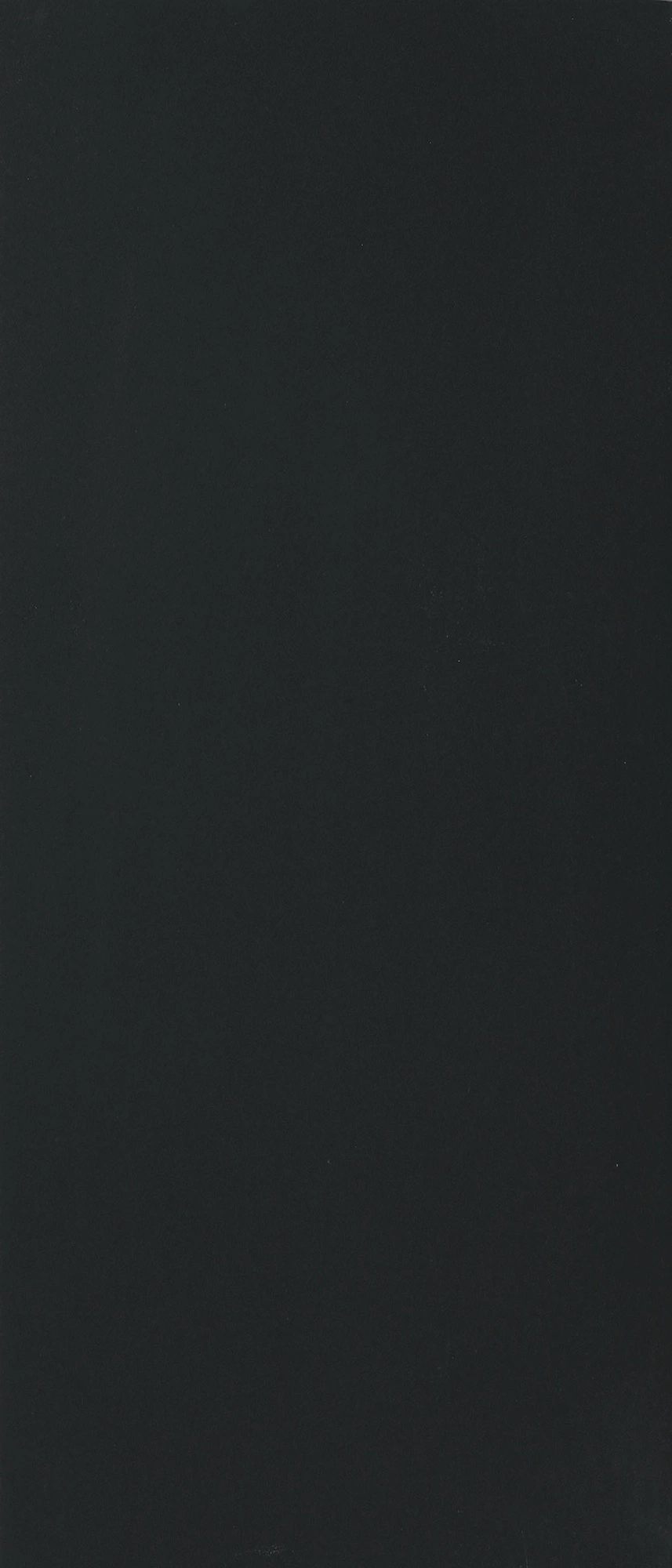 Floor Gres B&W Black Naturale R9 6Mm 120X280 Ret 765515