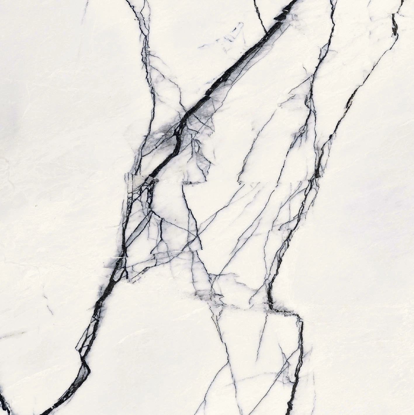 Floor Gres B&W Breach High-Glo 6Mm 120X120 Ret  765575