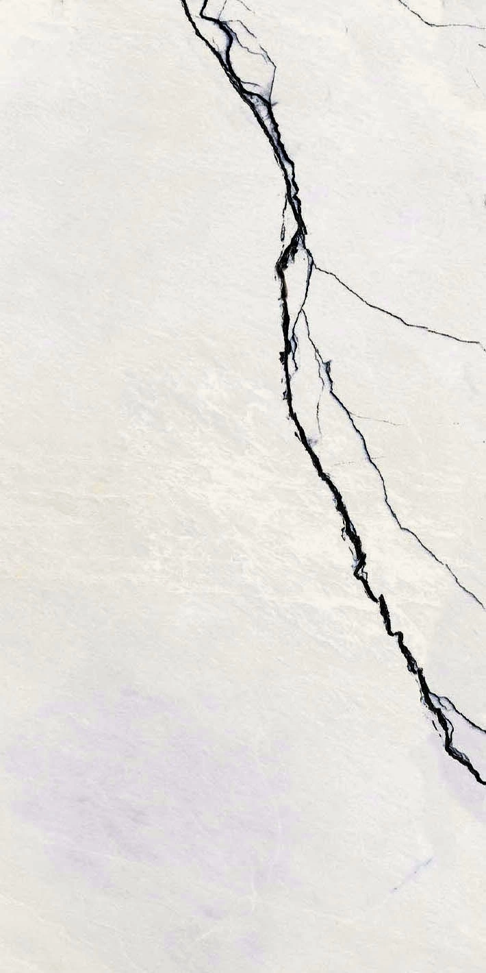 Floor Gres B&W Breach High-Glo 6Mm 60X120 Ret  765596