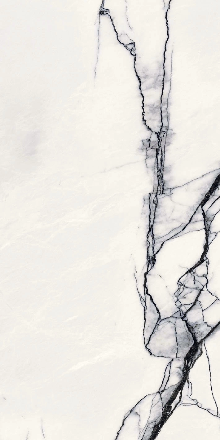 Floor Gres B&W Breach High-Glo 6Mm 60X120 Ret  765596