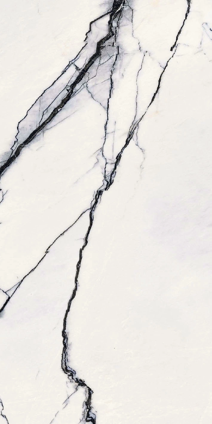 Floor Gres B&W Breach High-Glo 6Mm 60X120 Ret  765596