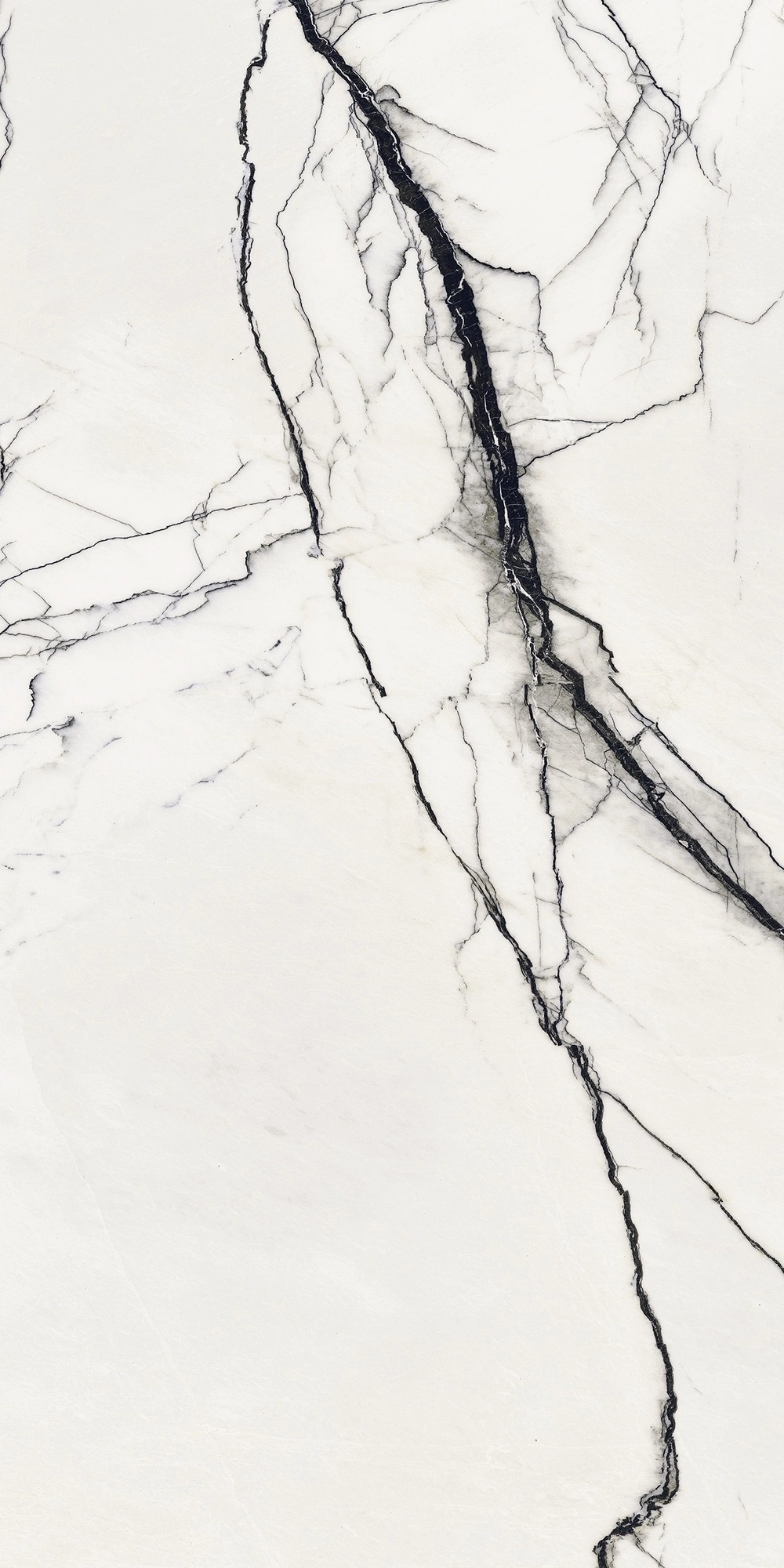 Floor Gres B&W_Marble Breach High-Glossy 60X120 Ret  766402