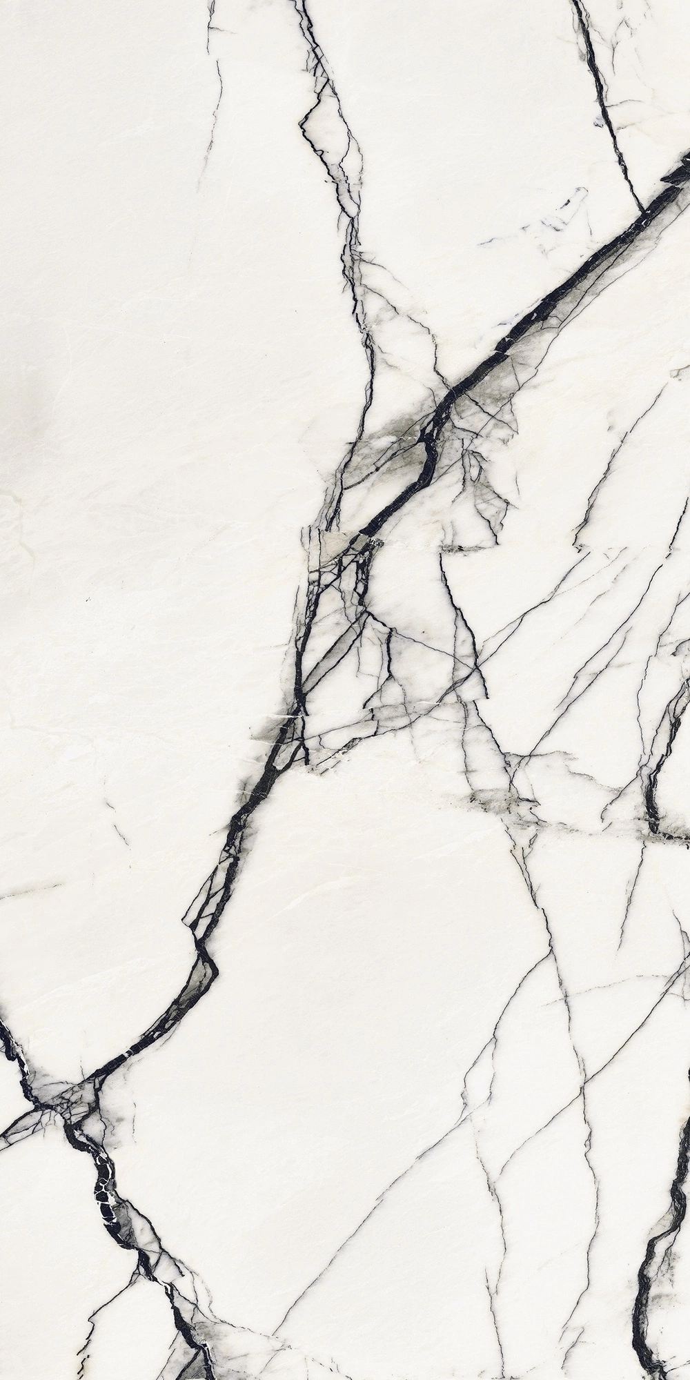 Floor Gres B&W_Marble Breach High-Glossy 60X120 Ret  766402