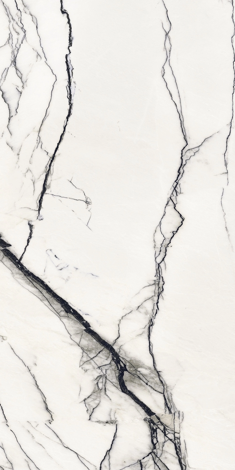 Floor Gres B&W_Marble Breach High-Glossy 60X120 Ret  766402
