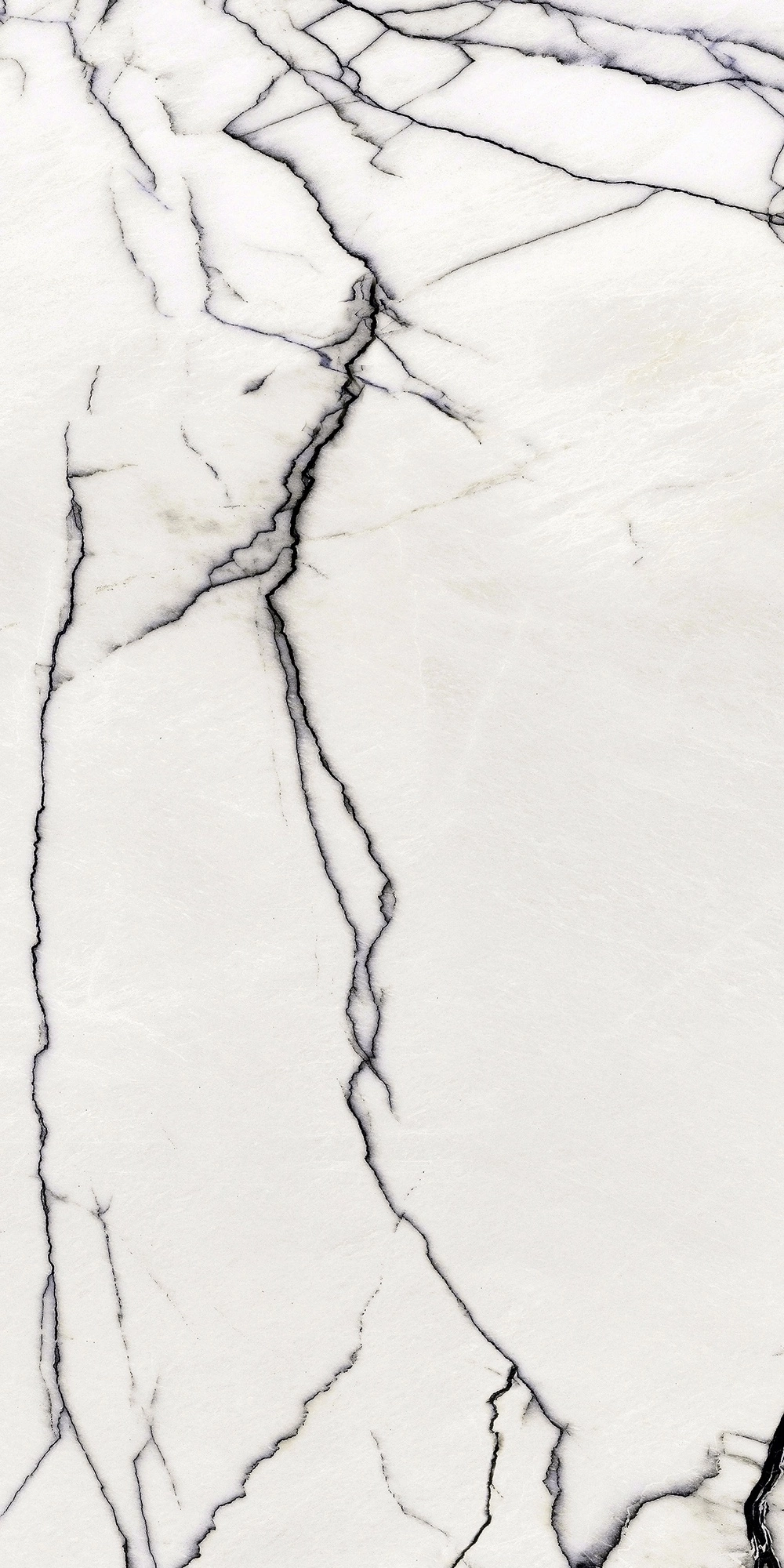 Floor Gres B&W_Marble Breach High-Glossy 60X120 Ret  766402