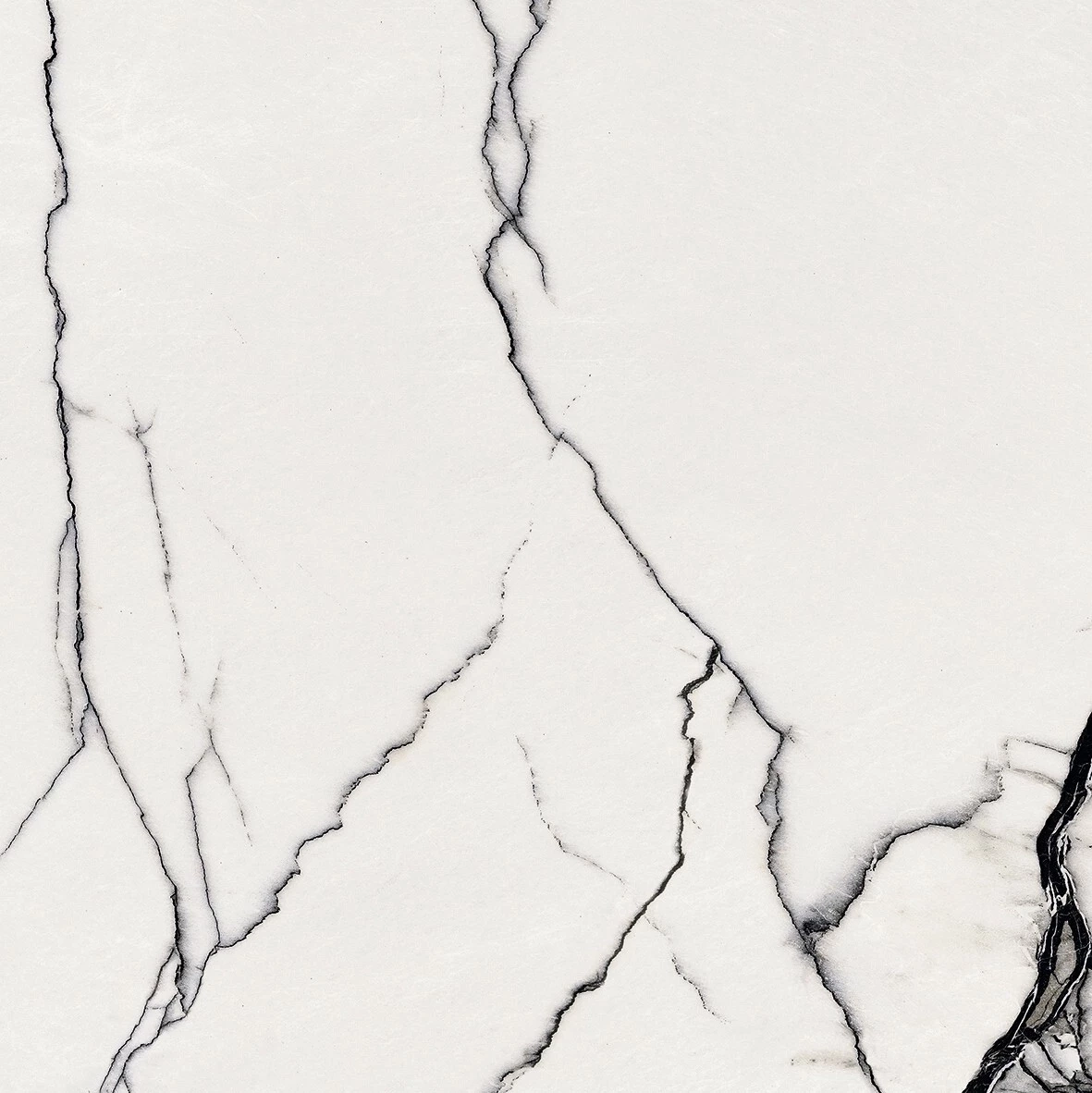 Floor Gres B&W_Marble Breach R9 Nat 60X60 Rett  766598