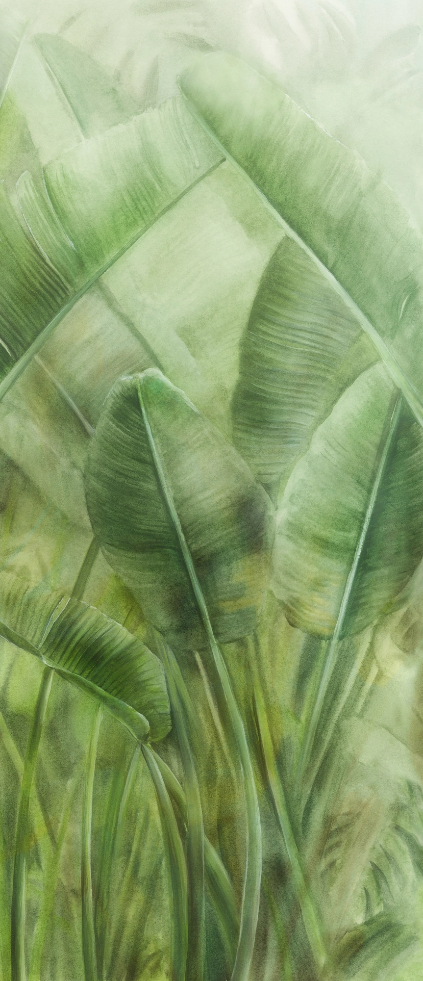 Atlas Concorde Boost Pro Leaves 120X278  B  A3M2