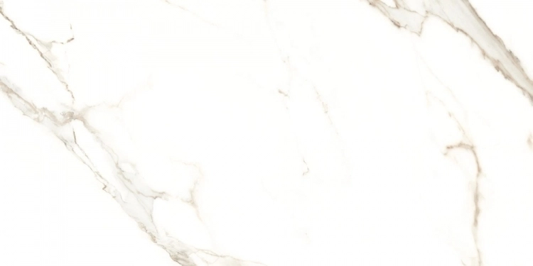 Cerdomus Fondinat.Rettificat60X120 64989