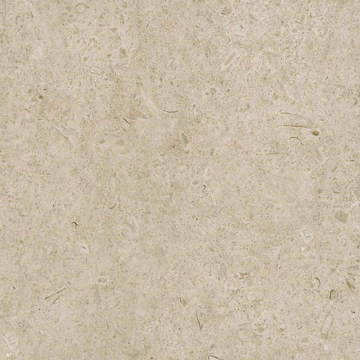 Marazzi Caracter Greige Rt M97H