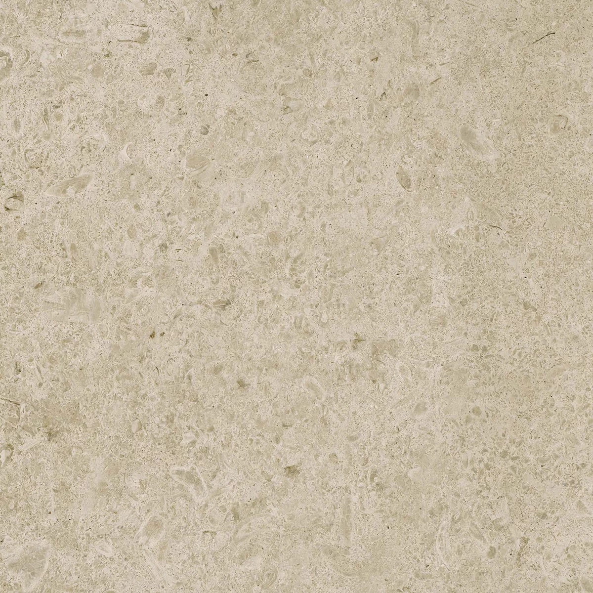 Marazzi Caracter Greige Rt M97H