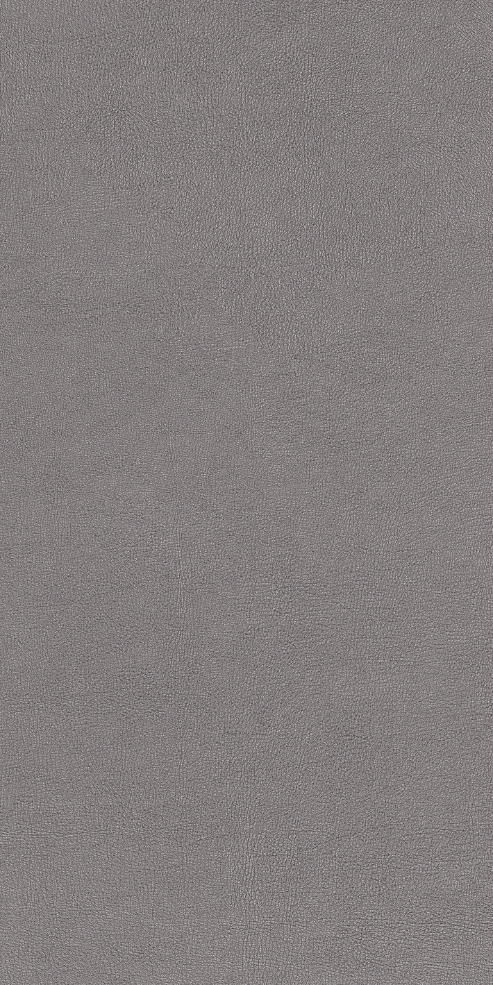 Cedit Chimera Radici Grigio Mat 6Mm 60X120R 769475