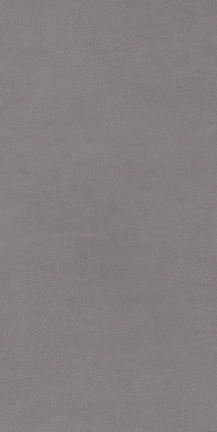 Cedit Chimera Radici Grigio Mat 6Mm 60X120R 769475