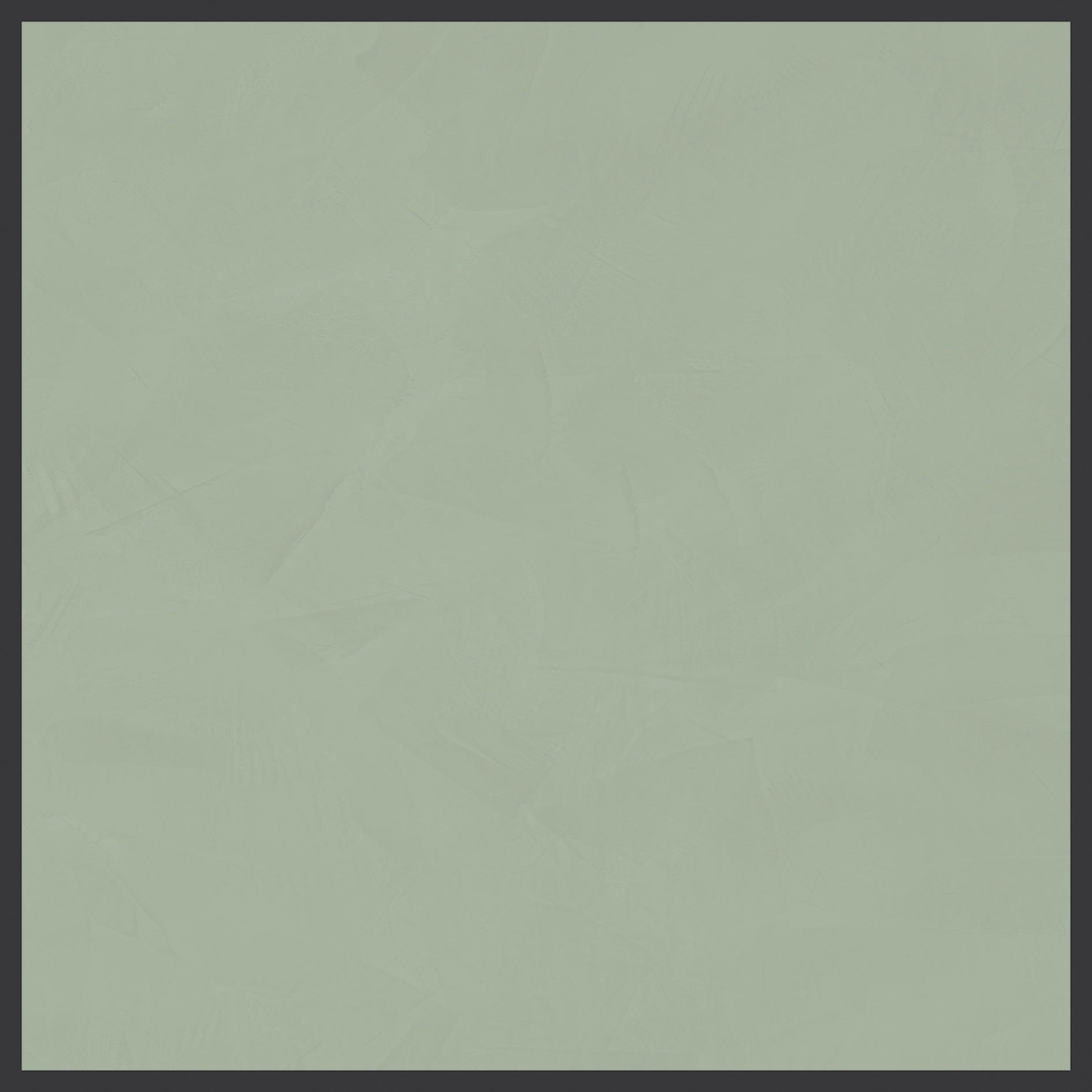 Cedit Policroma Corn Lichene Mat 6Mm 120X120 R  764103