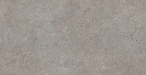 Cercom Grey In R10 Ret Ra 30X60 1064883