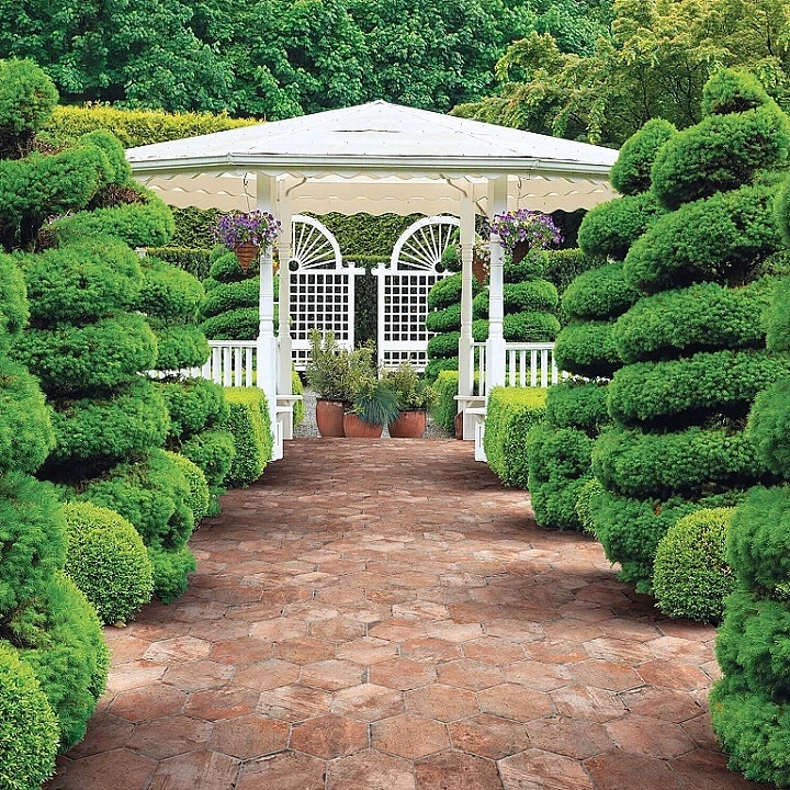 CIR OLD CHICAGO XL E2 20X40 1048186