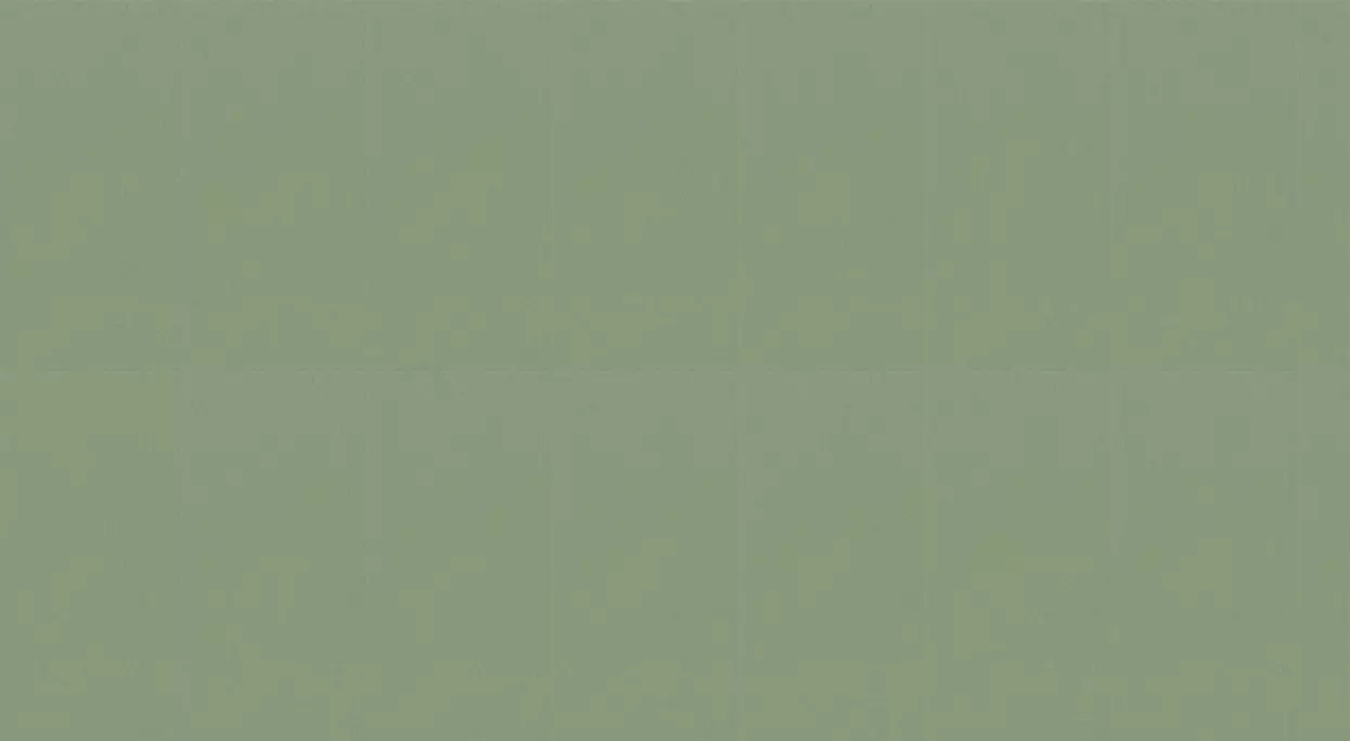 CIR GREEN GURU RET 60X120 1074144