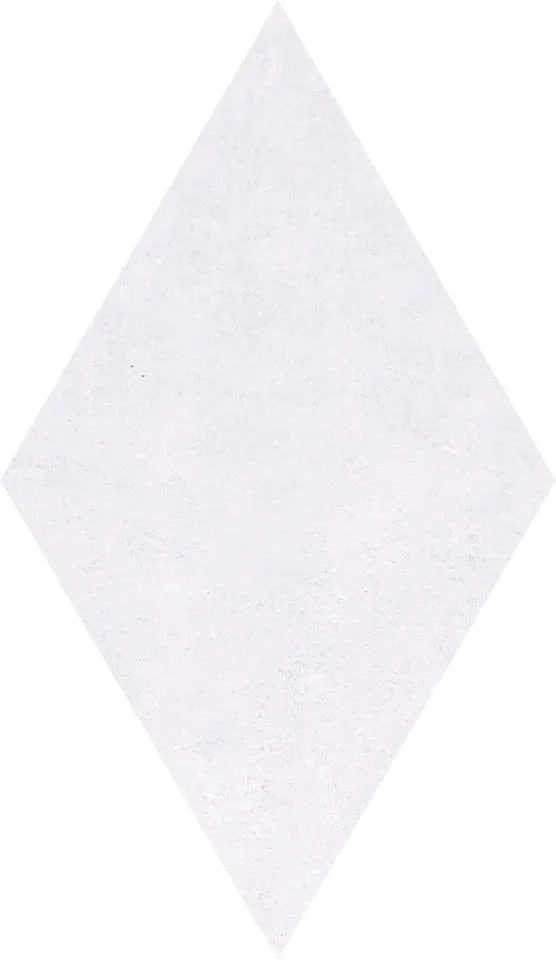 Cerdomus Fondi Nat.Rettificat 88644