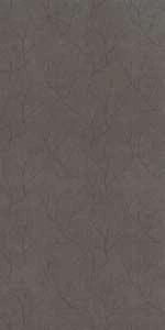 Floor Gres Earth D. Fronds A_Car_Gr Com.6Mm120X240R 772731