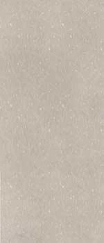 Floor Gres Earth D. Fronds B_Des_Gr Com.6Mm120X280R 772727