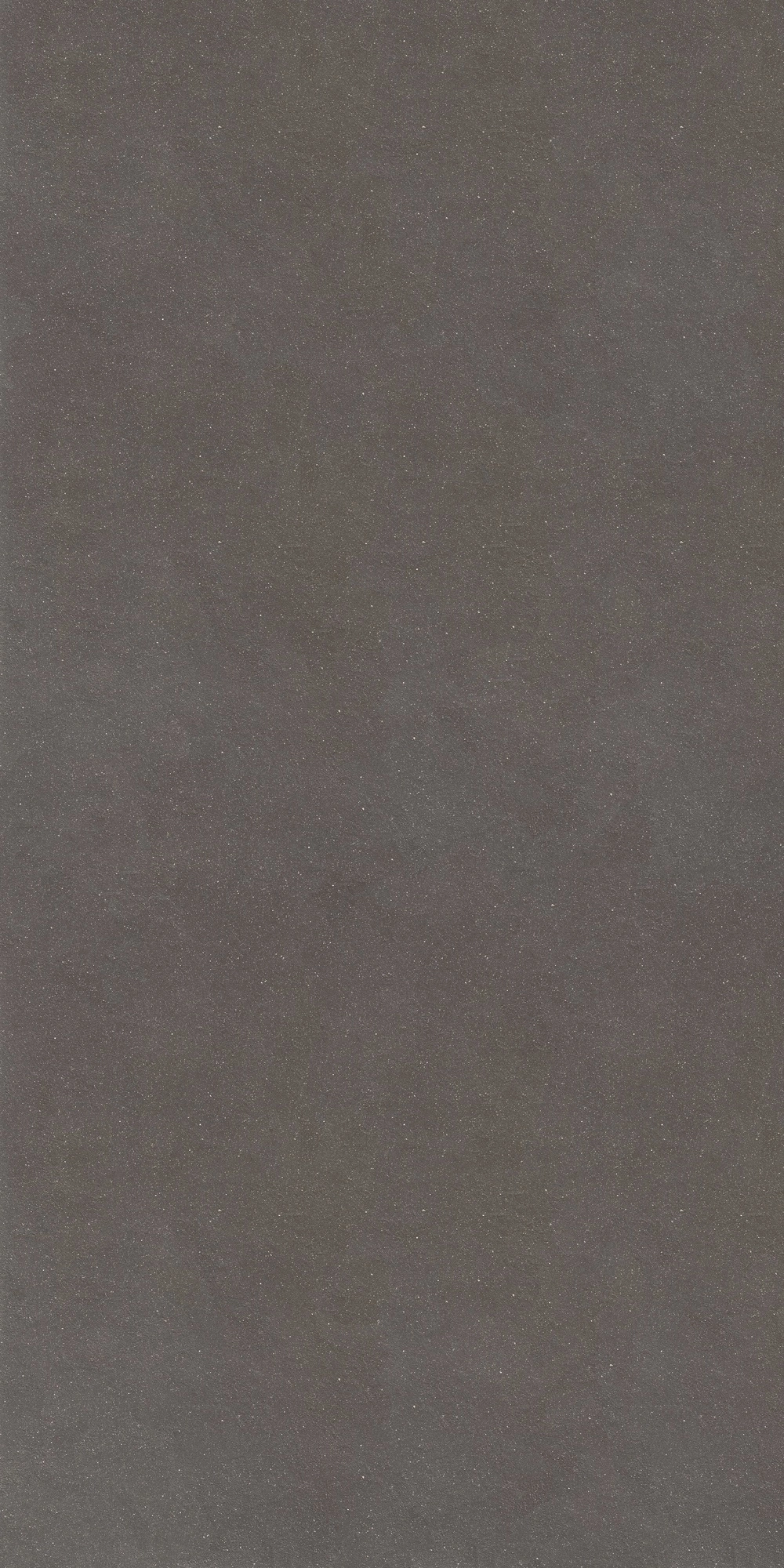 Floor Gres Earthtech/ Carbon_Gr Nat 6Mm 120X240R 771464