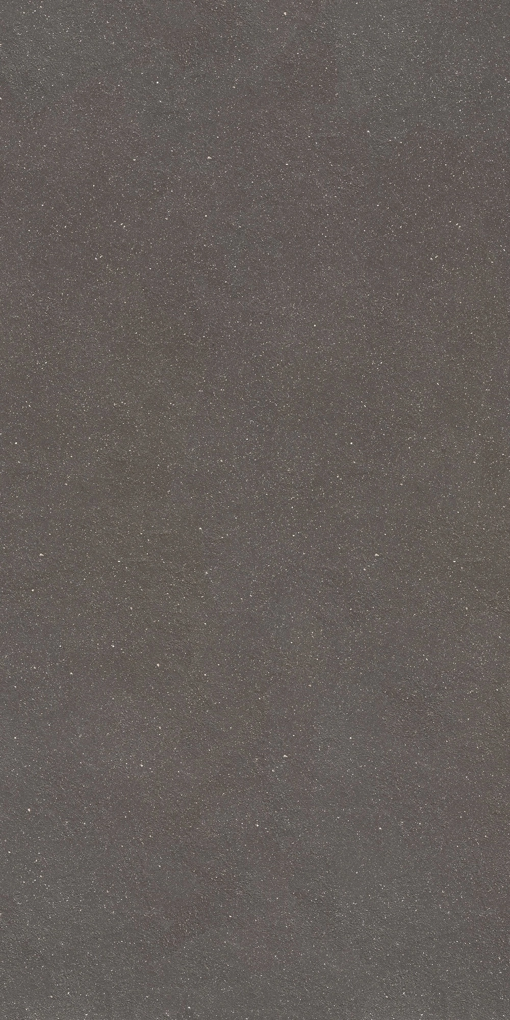 Floor Gres Earthtech/ Carbon_Gr Nat6Mm 60X120R  771634