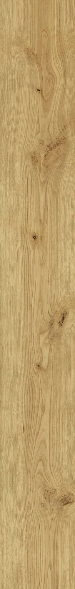 Atlas Concorde Exence Almond 18,5X150  AL87