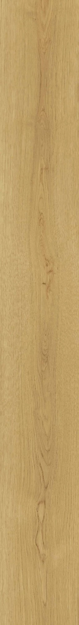 Atlas Concorde Exence Almond 18,5X150  AL87