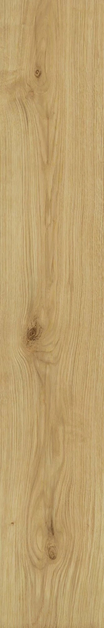 Atlas Concorde Exence Almond 20X120  AO48