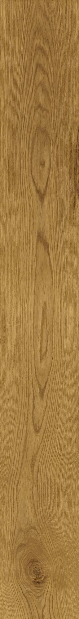 Atlas Concorde Exence Amber 18,5X150 Grip  AOUJ