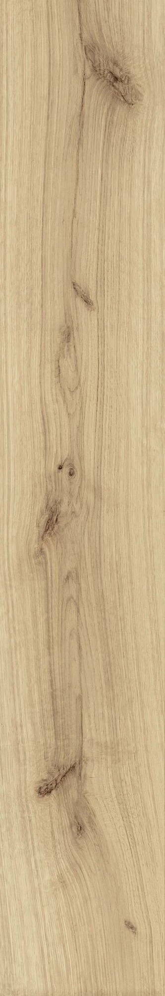 Atlas Concorde Exence Vanilla 20X120  AO47