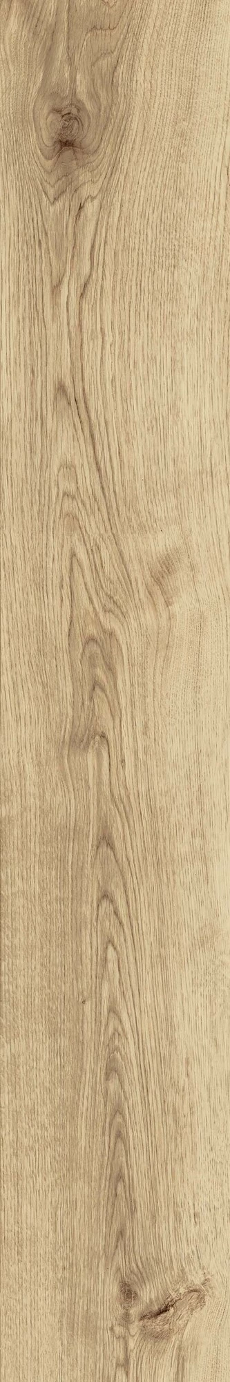 Atlas Concorde Exence Vanilla 20X120  AO47