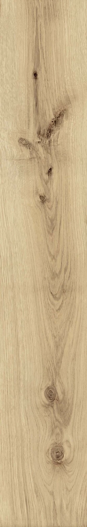 Atlas Concorde Exence Vanilla 20X120  AO47