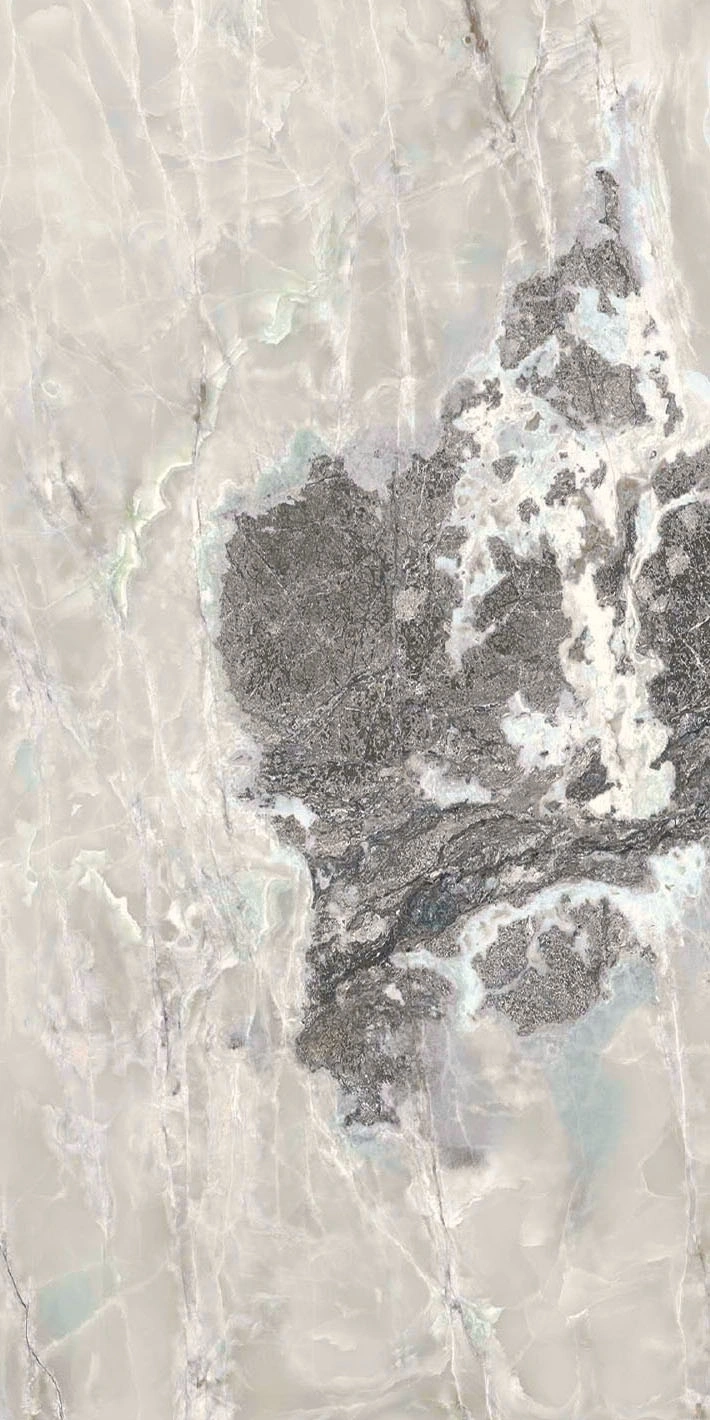 Florim Casa Dolce Casa Onyx&More Silver Blend Sat 6Mm 60X120R  765959