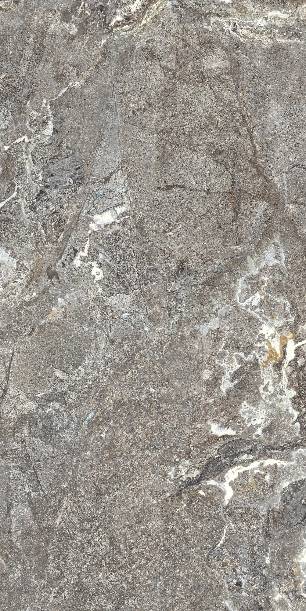 Florim Casa Dolce Casa Onyx&More Silver Porphyrystr20Mm60X120R  768512