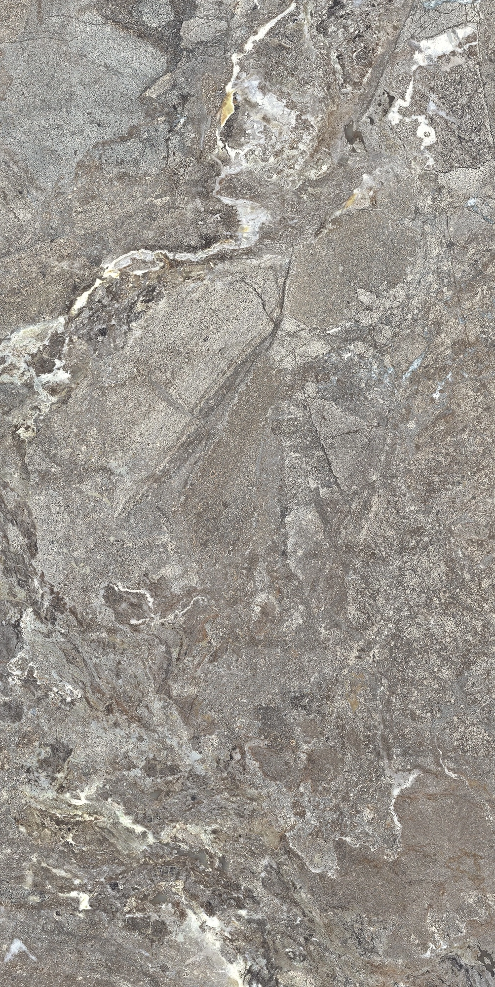 Florim Casa Dolce Casa Onyx&More Silver Porphyrystr20Mm60X120R  768512