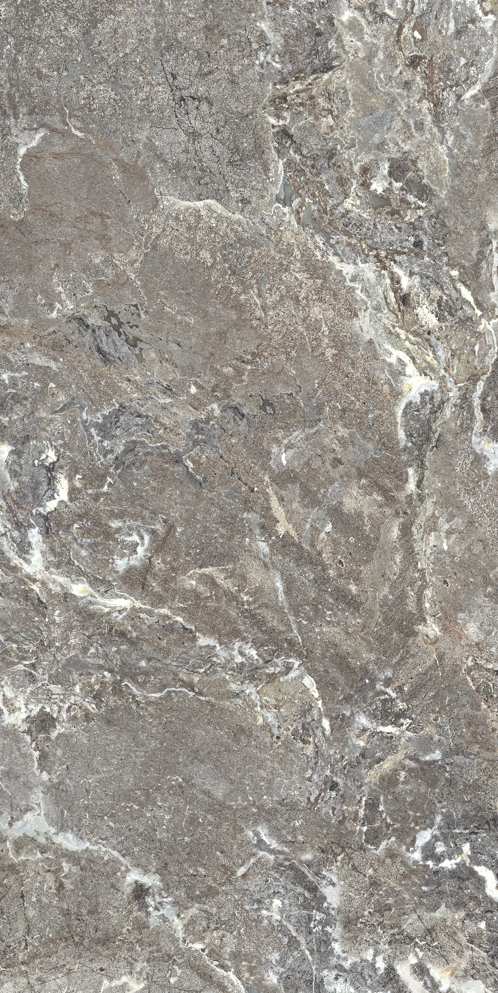 Florim Casa Dolce Casa Onyx&More Silver Porphyrystr20Mm60X120R  768512